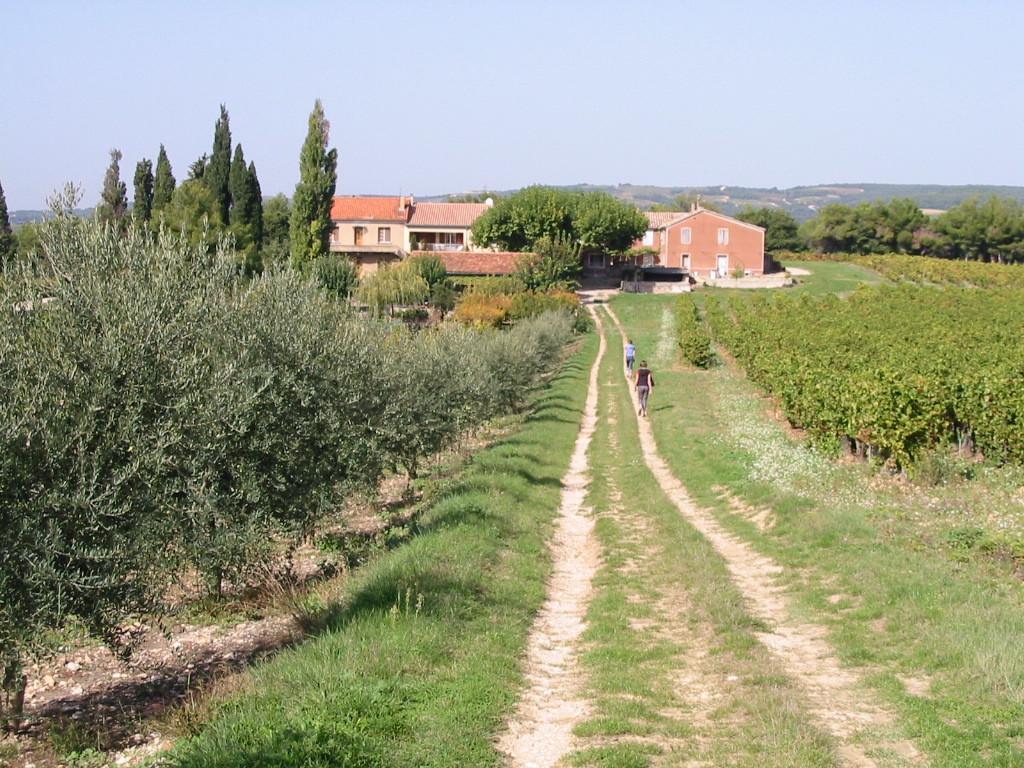 Le Petit Champ Villa Buisson Oda fotoğraf